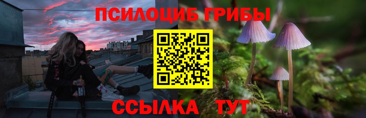 дарнет шоп  Галлюциногенные грибы Magic Shrooms  Галлюциногенные грибы ЛСД  Вход с VPN  Нарткала 