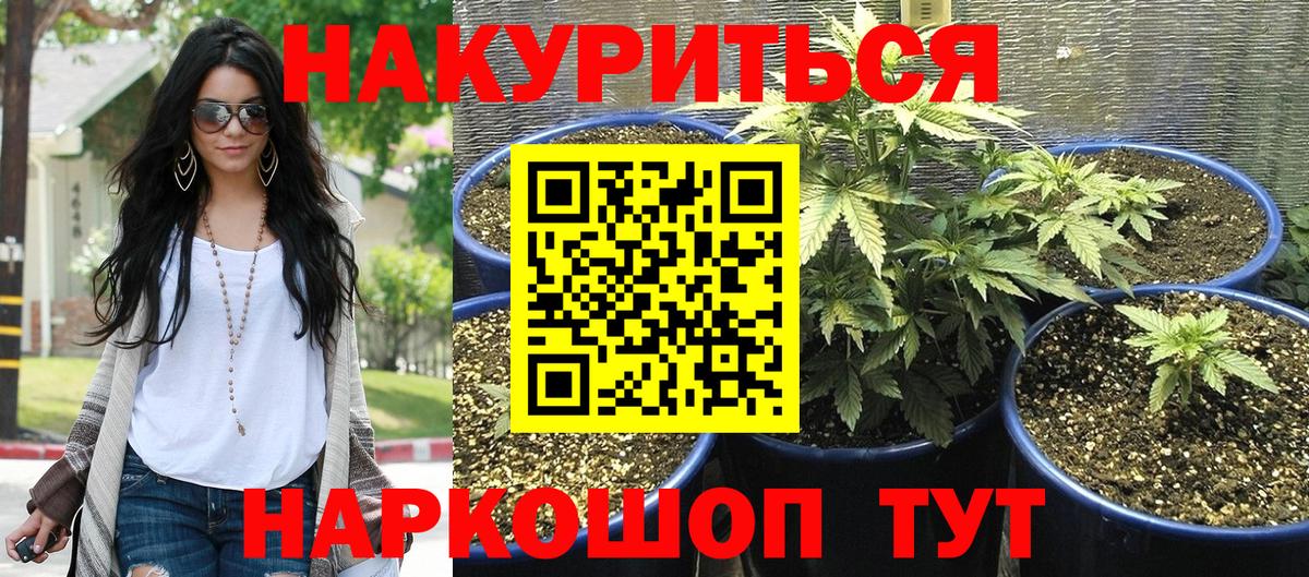 Канабис Ganja  Канабис SATIVA & INDICA  Нарткала  Каннабис THC 21%  Бошки марихуана Ganja  Вход с VPN 